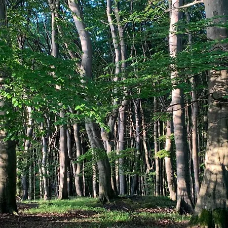 Ferienhaus Am Nationalpark * Hagen (Rugen)